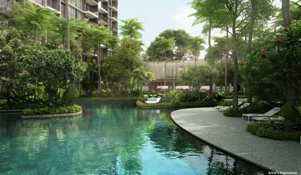 The Visionaire Amazon