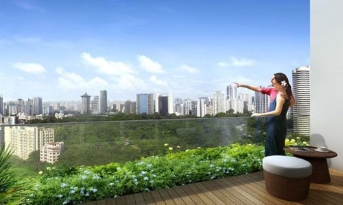 Three Balmoral trace view